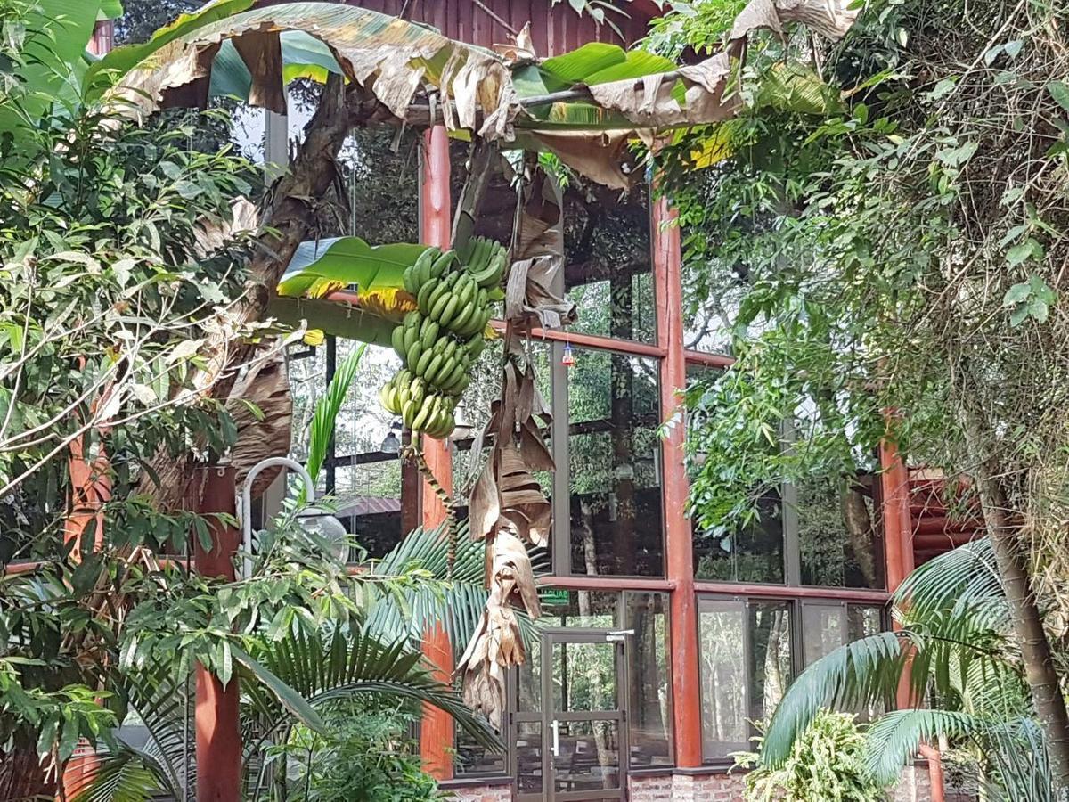 Hotel Don Horacio Puerto Iguazu Exterior photo